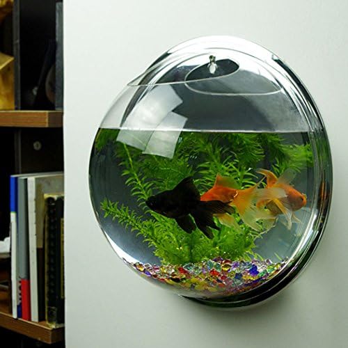 Outgeek Wall Fish Bubble Wall Hanging Bowl Clear Acrylic Vase Flower Plant Pot Aquarium 9in (0.5-Gallon)