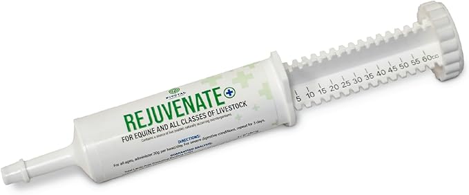 Rejuvenate+ Equine Oral Paste (60g Oral Syringe, Pack of 1) Digestive and Immune Support for Horses - Horse Supplements for Digestion