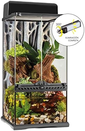 Exo Terra Deep Forest LED Lighting for Planted Reptile Terrariums