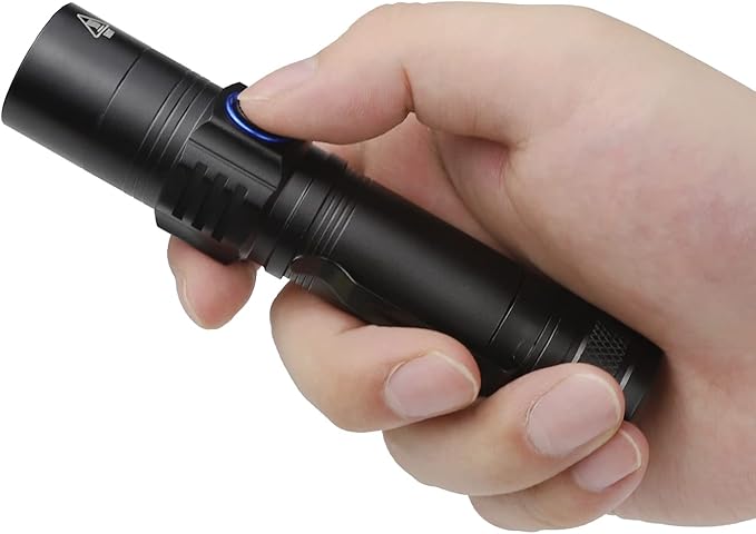 WINDFIRE Rechargeable UV Flashlight, 365nm Black Light Ultraviolet Flashlight High Power 10W, Portable Pocket UV Flash Light for Dog Urine, Pet Stains, Scorpion Bed Bugs, Resin Curing Detecting