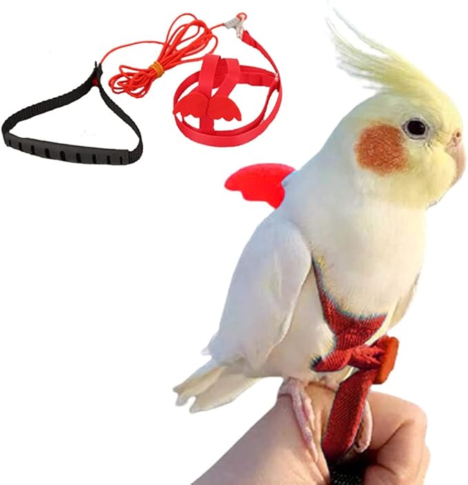 Birds Adjustable Harness and Leash, Parrot Outdoor Flying Training Traction Rope Straps with Cute Wing for Small Animal Birds, Parrots, Pigeons, Lizard, Turtles (XL,Red)