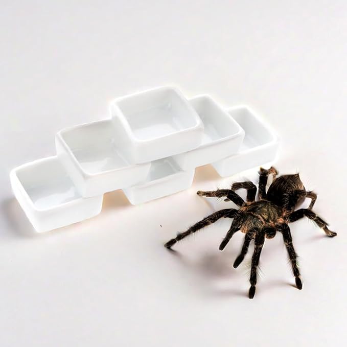 6 Pack Tarantula Ceramic Feeding Bowl Hermit Crab Small Water Bowl Spider Small Reptile Micro Ceramic Food Dish (Square Shape)