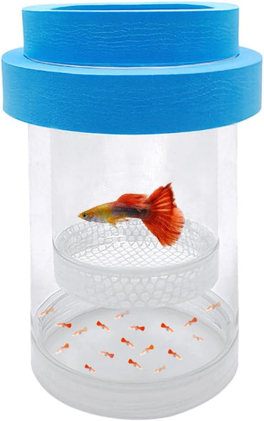 Floating Fish Breeding Isolation Box for Aquarium Tank Plastic Mesh Hatchery Incubator Breeder Box for Baby Fish Betta Shrimp Clownfish Guppy (Blue, Small)