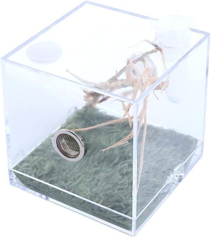 Spider Terrarium,Acrylic Reptile Terrarium,Jumping Spider Enclosure with Dropper Tongs,Reptile Breeding Habitat Box