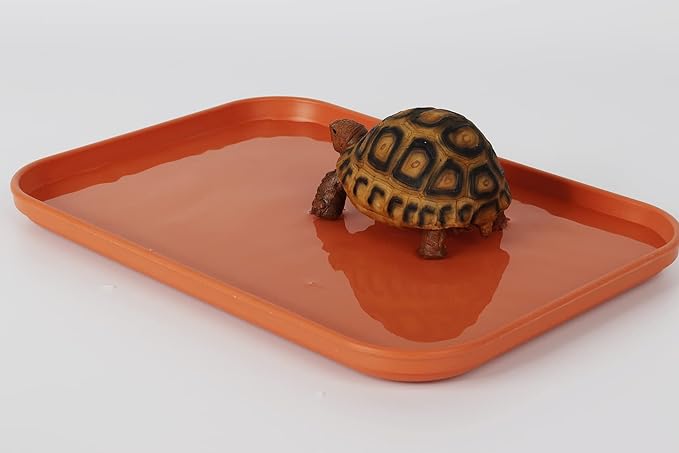 Reptile Large Water Dish, Tortoises Food Bowl - L (14.9 * 10.6 * 0.6)