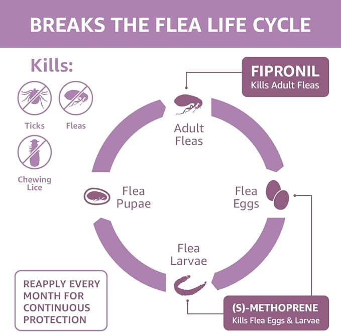 Amazon Basics Flea and Tick Topical Treatment for Large Dogs (45-88 lbs), Unscented, 6 Count (Previously Solimo)