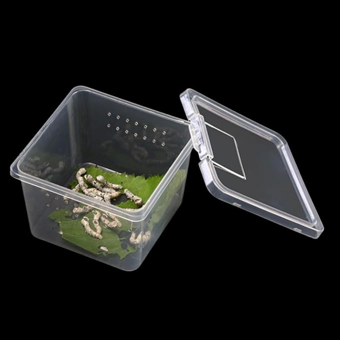 10 Pcs Acrylic Insect Reptile Spider Terrariums Breeding Box Hatching Container,Small Size(5.7cm x5.7cm x4.2cm)