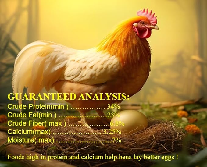 11 lb Black Soldier Fly Larva - BSFL is a high Calc-Rich Chicken Feed with More Calcium Than mealworms. Feeding with The Main Food is conducive to Laying hens