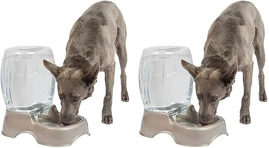 Petmate Pet Cafe Waterer Cat and Dog Water Dispenser 4 Sizes (Pack of 2)