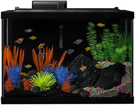 GloFish 20 Gallon Aquarium Kit with LED Lights, Decor Heater and Filter