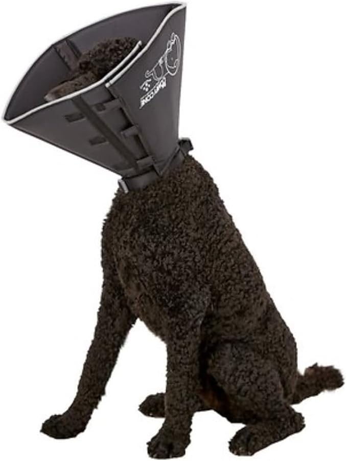 Comfy Cone Pet Cone for Dogs, Cats, Medium (Extra-Long), Black - Comfortable Soft Dog Cone Collar Alternative for After Surgery, Wound Care, Spay, Neuter - Dog and Cat Recovery Collar