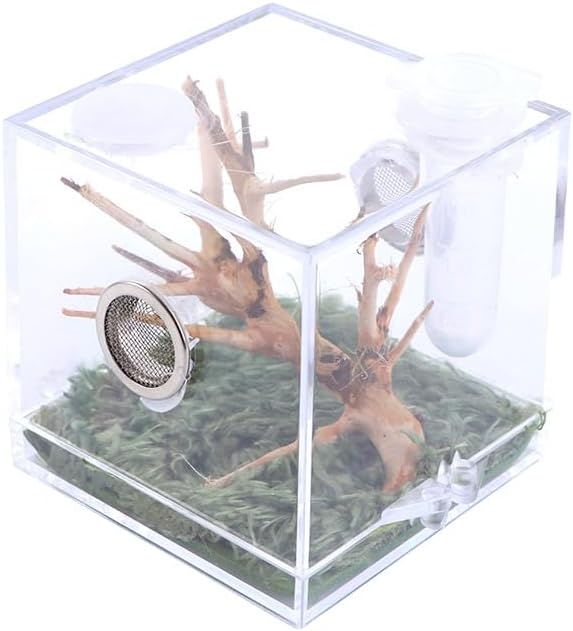 Spider Terrarium,Acrylic Reptile Terrarium,Jumping Spider Enclosure with Dropper Tongs,Reptile Breeding Habitat Box
