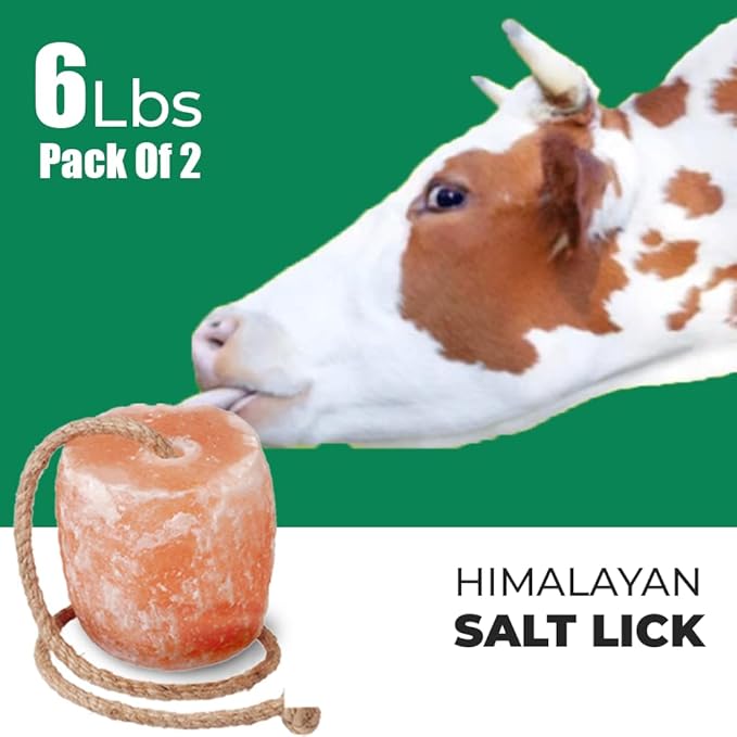 Himalayan Salt Lick for Horses - Deer Cows, Goats & Cattles on Rope | 6 Lbs Himalayan Licking Salt Block Packed with Minerals for Animals | Pack of 2 Salt Licks