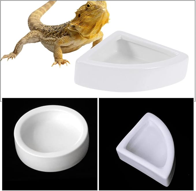 Terrarium 2pcs Reptile Food Dish Bowl Worm Water Dish Small Lizard Gecko Ceramic Pet Bowls Bowls for Leopard Bearded Dragon Chameleon Hermit Crab Feeder White Food Containers