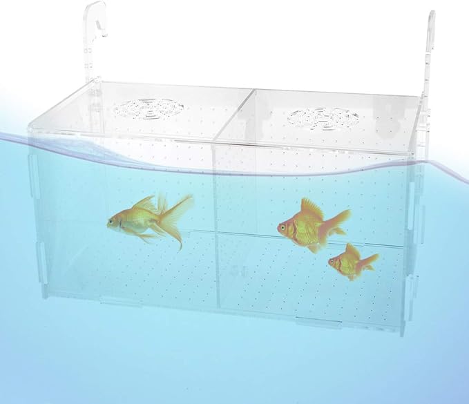 POPETPOP Fish Box/Fish Breeding Box Floating Durable Transparent Breeding Box Fish Hatchery Fish Tank for Aquatic Shop Aquarium