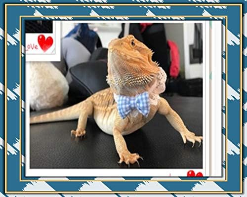 Lizard Clothes Bearded Dragons Blue White Plaid Bowtie with Elastic Lace Decor Handmade Stretchy Bowknot Collar Outfit Reptile Apparel Accessories Photo Gift Lizard Clothes for Leopard Reptile Gecko