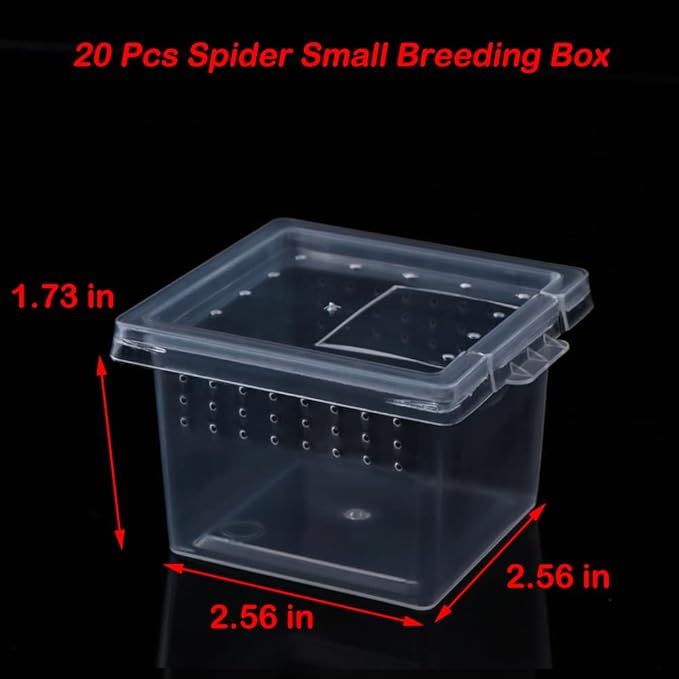 20 Pcs Spider Terrariums Breeding Box Hatching Container Acrylic Feeding Box for Small Reptile Scorpion Centipede Insect (Small Size)