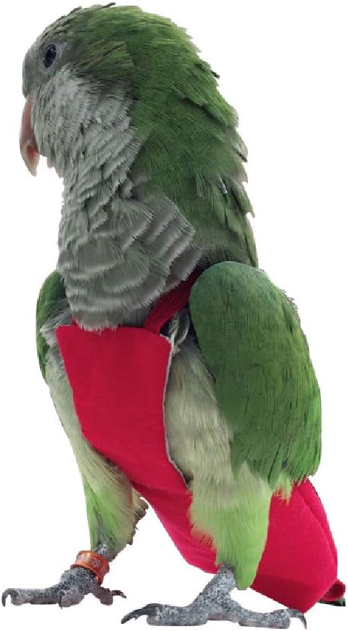 HEZHUO Parrot Diaper Bird Flight Suit, Bird Clothes, Waterproof Lining Pet Bird Supplies (2XL, Red)