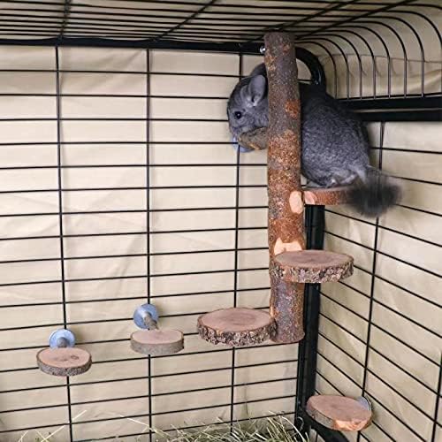 Chinchilla Large Hanging Wooden Rotating Platform - Small Animals Natural Fruit Wood Standing Platform - Squirrel Suger Glider Platform - Bird Perch Platform