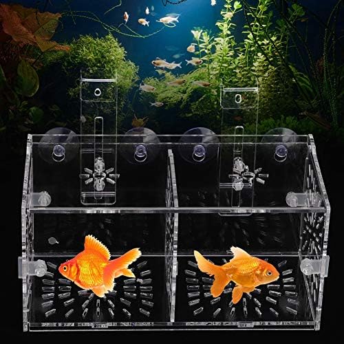 Fish Breeding Isolation Box Breeder Isolation Divider Hatching Box Acrylic Transparent Aquarium Hatchery Incubator Holder(20CM*10CM*10CM)