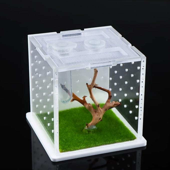 Spider Acrylic Breeding Box, Tarantula Transparent Terrarium, Jumping Spider Feeding Box, Insect Habitat Hatching Container Cage