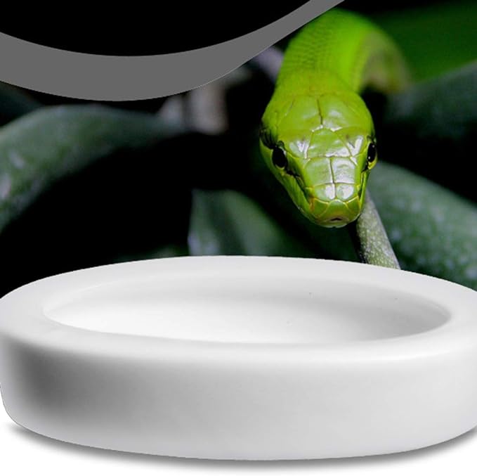 Reptile Worm Feeding Dish Bowls Gecko Lizard Feeder Dish with Feeding Tong, 2 Bowls and 1 Feeding Tong, Ceramic Mini Size