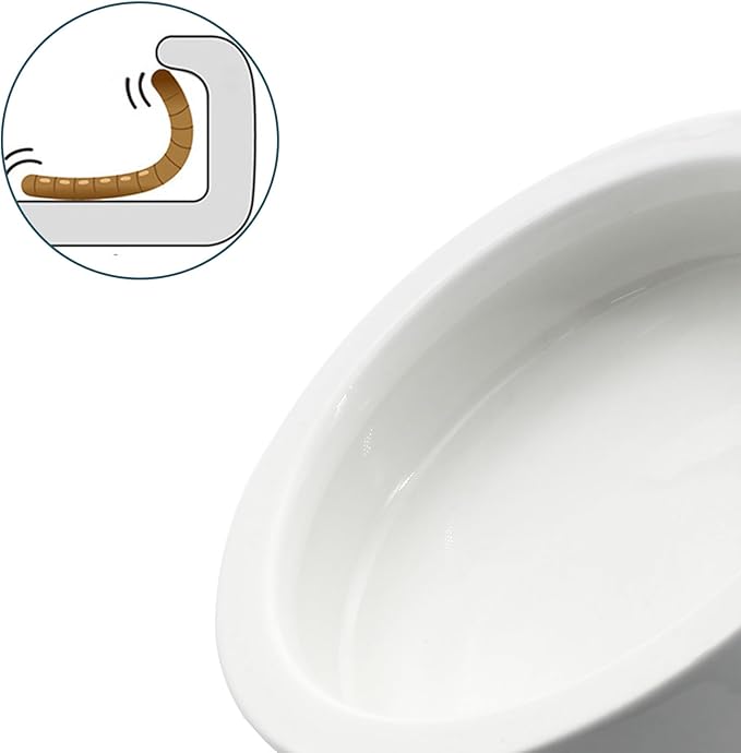 2PCS Reptile Bowl, Ceramic Reptile Food Water Dish, Mini Pet Reptile Feeding Bowl Worm Dish for Lizard Bearded Dragons Gecko