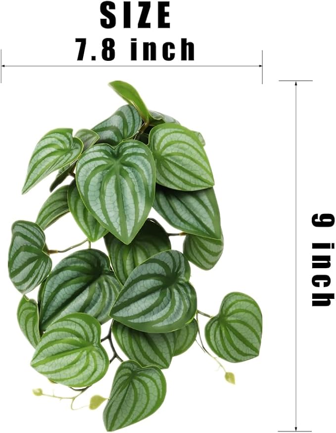 Reptile Plants for Terrarium, Amphibian Habitat Decor Artificial Hanging Plants with Suction Cup - Fake Calathea Orbifolia