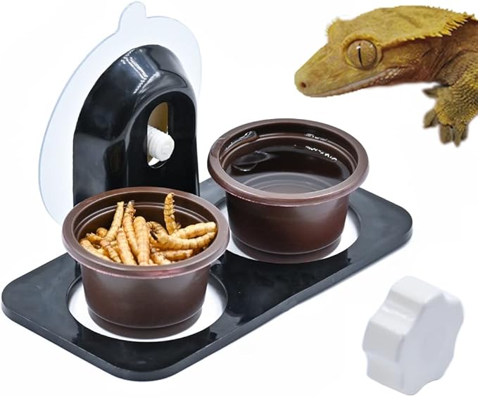 100 Eco Cups + Feeding Ledge [Non-Suction Cup], Reptile Food Bowls and Water Dish, for Crested Gecko Lizard Or Other Small Pet Feeder Ledge Accessories Supplies (100 Cups + Ledge)