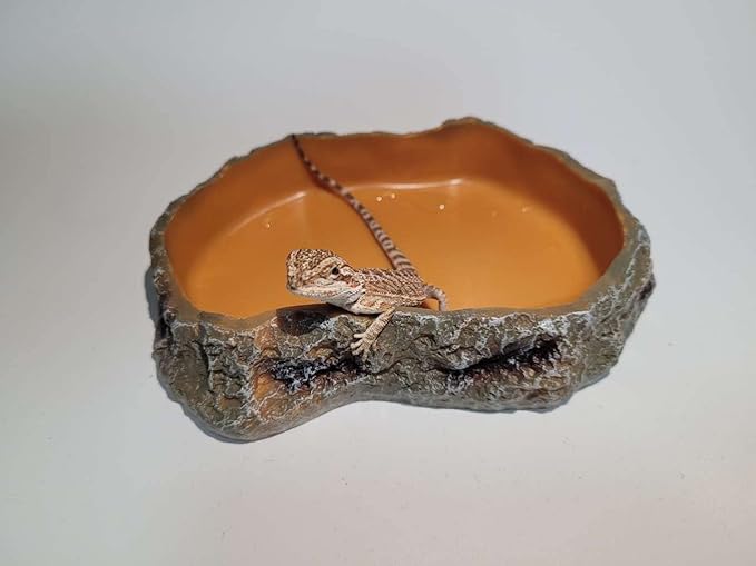 Simulation Rock Reptile Feeding Bowls Resin Feeder Lizard Toad Tortoise Hedgehog Habitat Accessories Terrarium Tank Ornament Water Food Dish,5.5 x 3.7 x 1.2inches (Medium)