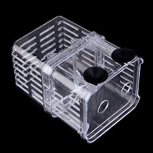 Plastic Fish Isolation Box Multi-Functional Breeding Hatchery Incubator Box