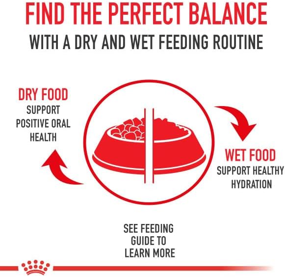 Royal Canin Canine Health Nutrition Adult In Gel Canned Dog Food, 13.5 oz can(Pack of 12)