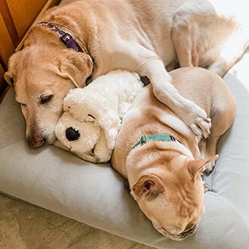 SmartPetLove Snuggle Puppy Heartbeat Stuffed Toy for Dogs - Pet Anxiety Relief and Calming Aid - Golden