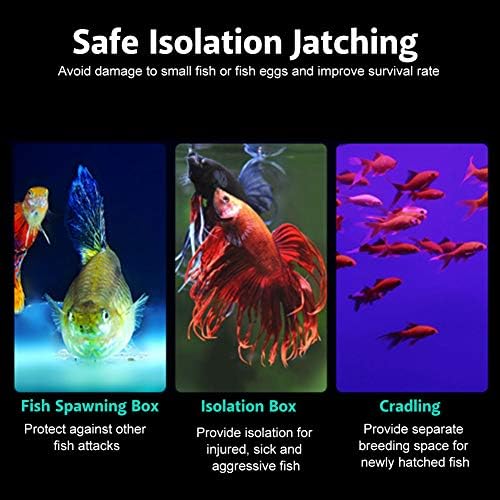 Fish Tank Breeding Isolation Box Aquarium Acclimation Hatchery Incubator Acrylic Transparent Aquarium Hatchery Incubator Holder(20CM10CM10CM)