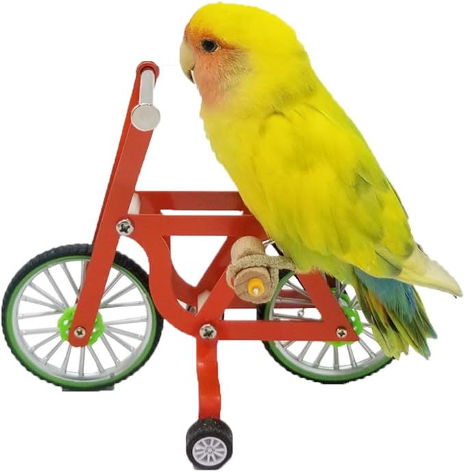 QBLEEV Bird Intelligence Training Toy，Parrot Puzzle Bicycle Toy for Small Medium Bird，Parrot Educational Table Top Trick Prop Toy，Bird Foot Talon Toy for African Grey Cockatoo Eclectus Conures