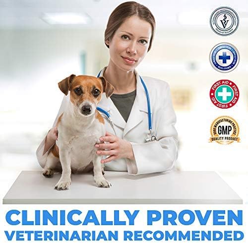 Forticept Maxi-Wash Hot Spot Spray, Wound Care and Skin Treatments, Itch Relief, First Aid and Paw Cleanser for Dogs, 4 Fl Oz