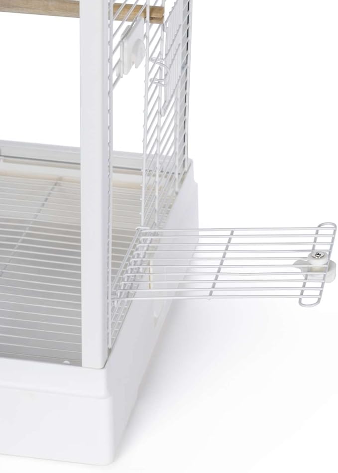 Prevue Pet Products Clear View Glass Bird Cage Crystal Palace for Small Birds - White Frame