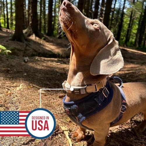 HeyBuddy® Slide Series - QR Code Smart Pet Tags for Dogs & Cats, Personalized Pet Tag Stores Multiple Information, includes Passive Location Tracking, Real-Time Notification & Community Alerts