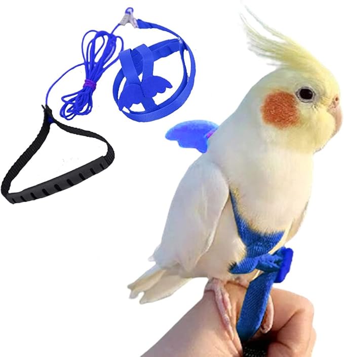 Birds Adjustable Harness and Leash, Parrot Outdoor Flying Training Traction Rope Straps with Cute Wing for Small Animal Birds, Parrots, Pigeons, Lizard, Turtles (L,Blue)