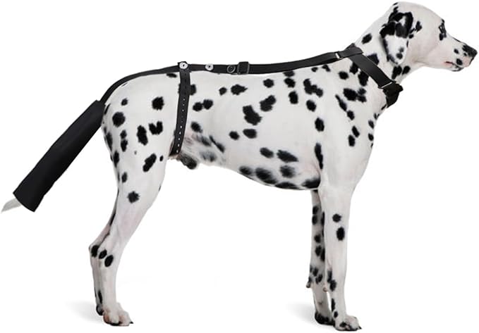 Dog Tail Protector Bag Dogs Tail Guard Sleeve Wound Heal Protector for Pets Animals Dog Happy Tail Syndrome