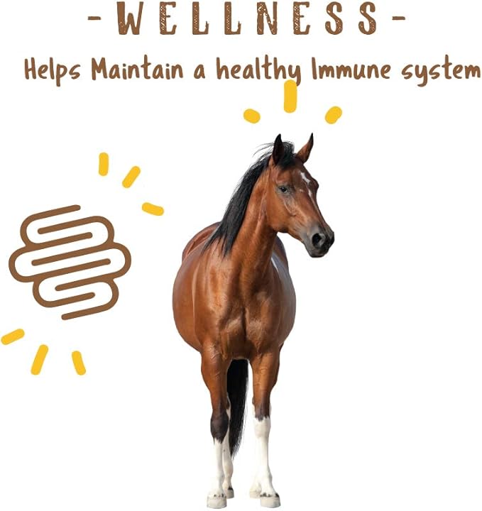 Manna Pro Simply Flax Supplement for Horses - Omega-3 Fatty Acids - 8 Pounds