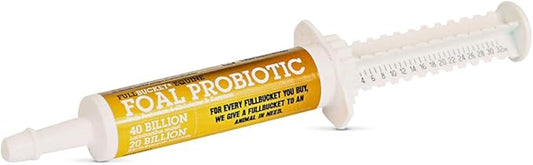Foal Probiotic Paste (Single)