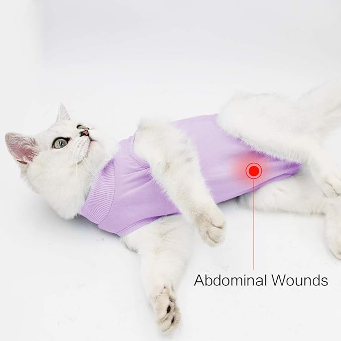 Cat Recovery Suit for Male and Female Surgical Post Surgery Soft Cone Onesie Shirt Clothes Neuter Licking Protective Diapers Outfit Cover Kitten Spay Collar(M, Purple)