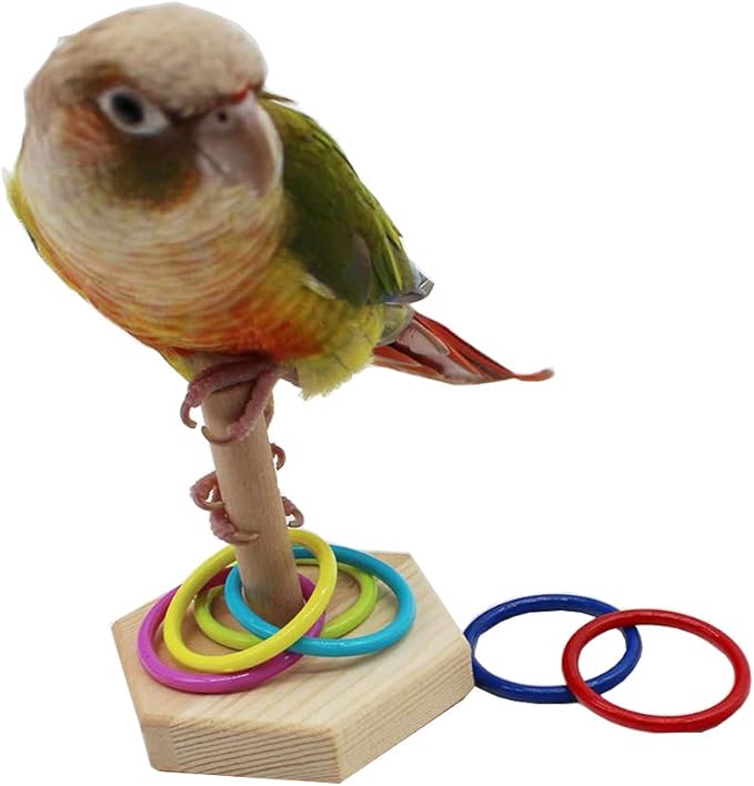 QBLEEV Bird Toys, Budgie Bird Trick Tabletop Toys, Training Basketball Stacking Color Ring Toys Sets, Parrot Chew Ball Foraing Toys, Pet Education Play Gym Playground Activity Cage Foot Toys