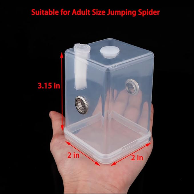 Jumping Spider Breeding Box Tarantula Transparent Terrarium Insect Habitat Hatching Container Cage Feeding Box