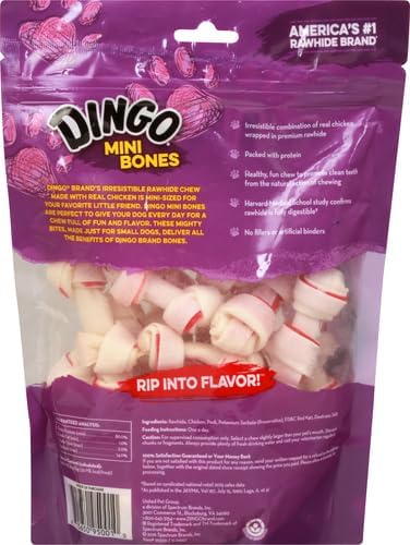 Dingo 156096 Mini Bones for Dogs, Small, Beige,21 Count (Pack of 1)