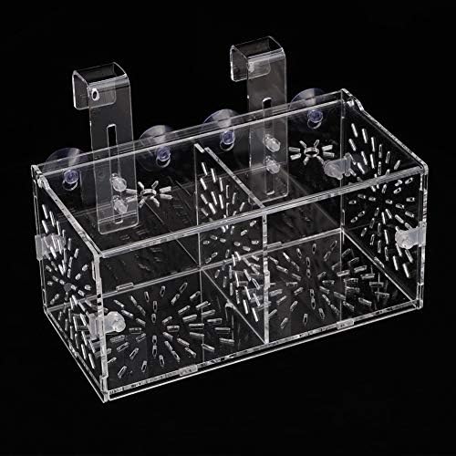 Fish Breeding Isolation Box Breeder Isolation Divider Hatching Box Acrylic Transparent Aquarium Hatchery Incubator Holder(20CM*10CM*10CM)