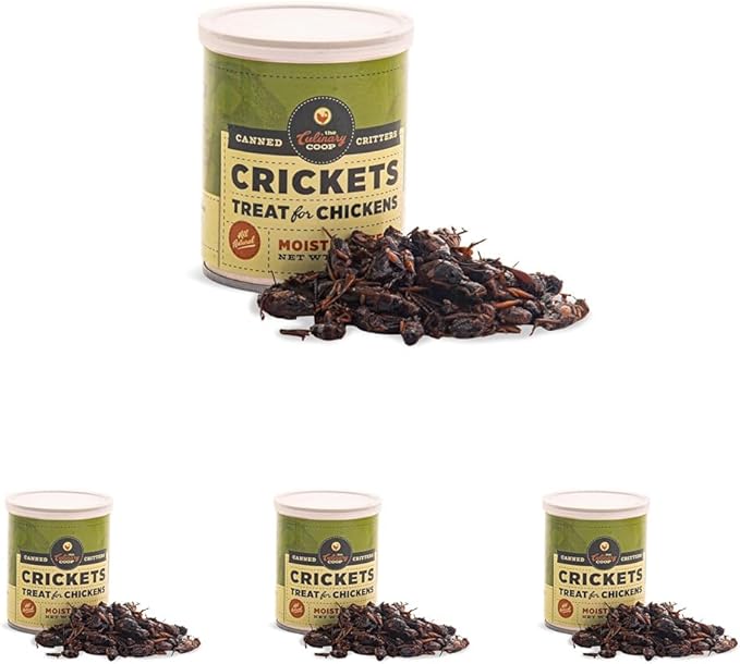 Fluker's Culinary Coop Canned Crickets Chicken Treat, All Natural and Packed with Protein, 2.75 oz (Pack of 4)