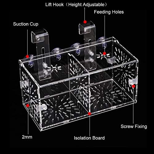 Fish Tank Breeding Isolation Box Aquarium Acclimation Hatchery Incubator Acrylic Transparent Aquarium Hatchery Incubator Holder(20CM10CM10CM)