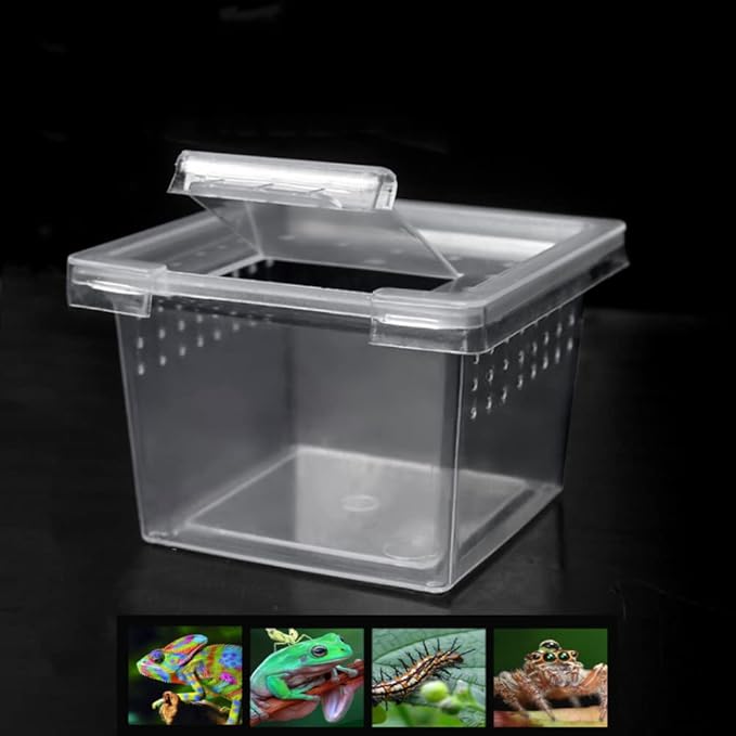 10 Pcs Acrylic Insect Reptile Spider Terrariums Breeding Box Hatching Container,Small Size(5.7cm x5.7cm x4.2cm)